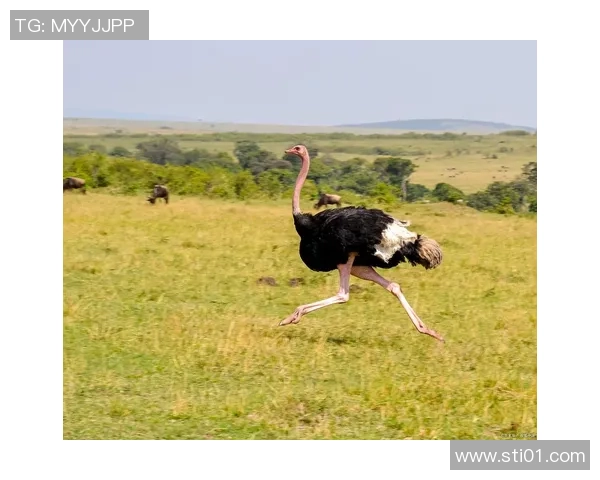 足球明星瘸腿背后的故事与励志人生揭秘 足球明星瘸腿背后的故事与励志人生揭秘