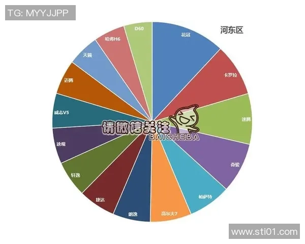 独家分析：成都排球队的节奏对比