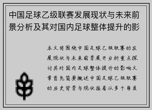 中国足球乙级联赛发展现状与未来前景分析及其对国内足球整体提升的影响