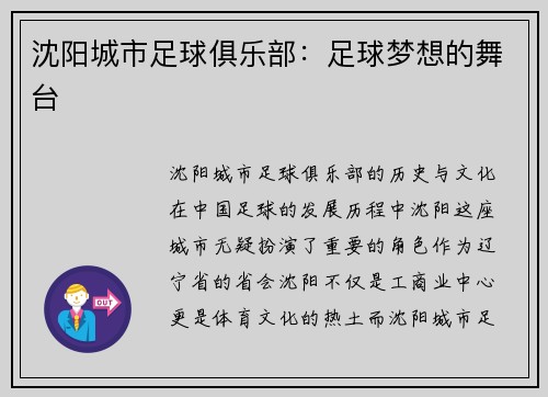 沈阳城市足球俱乐部：足球梦想的舞台