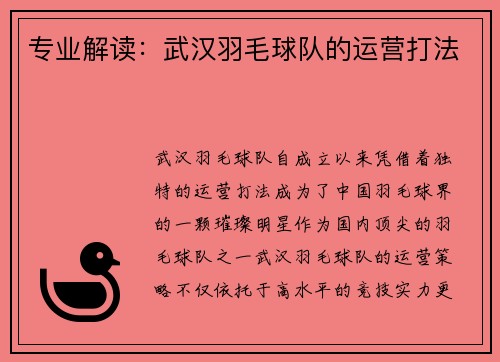 专业解读：武汉羽毛球队的运营打法