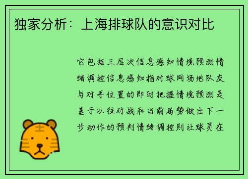 独家分析：上海排球队的意识对比